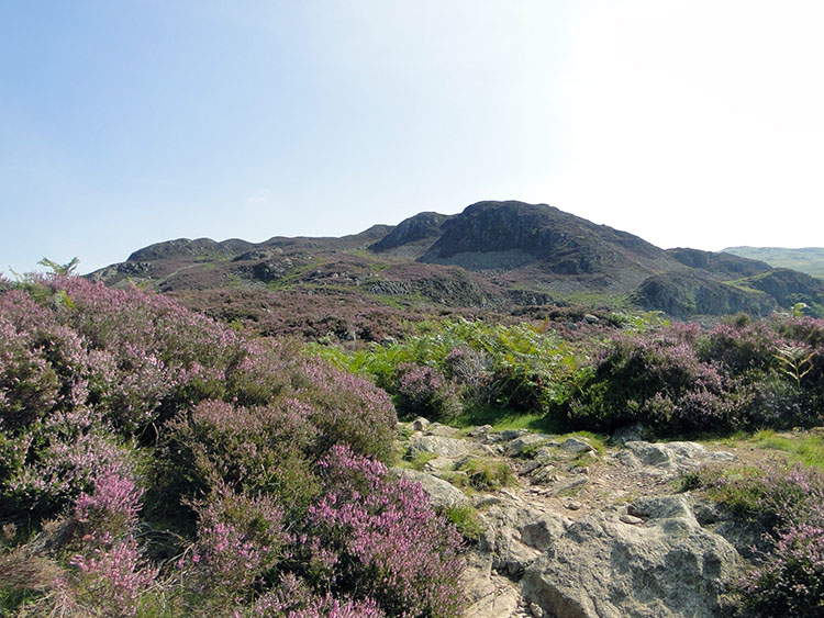 Looking to Low Saddle on Coldbarrow Fell