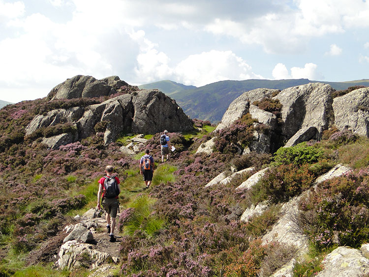 Brund Fell is a series of interesting outcrops