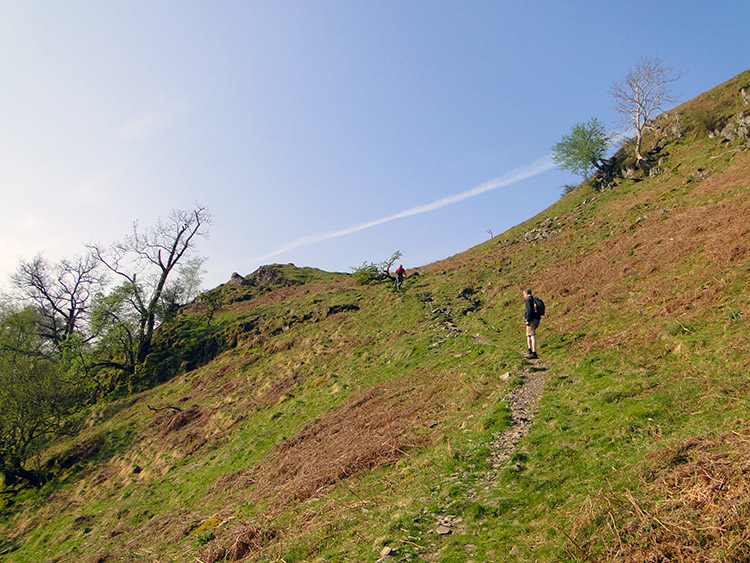 Above the treeline on the way to Bleaberry Knott