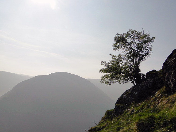 Hartsop Dodd from the Hartsop above How ridge