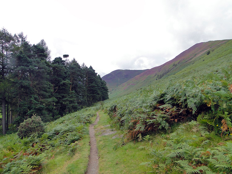 Following the track from Braithwaite to Uzzicar