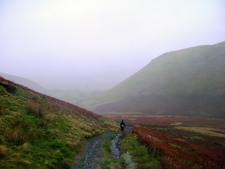 Beginning the ascent of Bowscale Fell