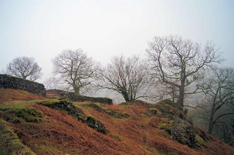 Ascending from Cote How to Loughrigg Fell