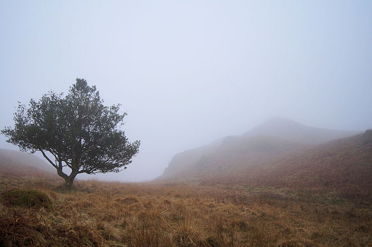 Cloud envelopes Loughrigg Fell