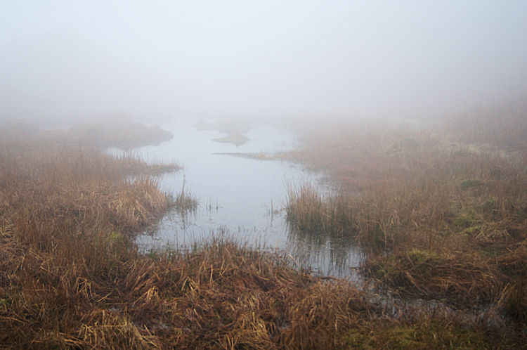 Tarn near Black Mire Cairn