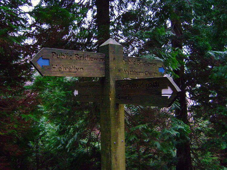 Forest crossroads near Wythburn