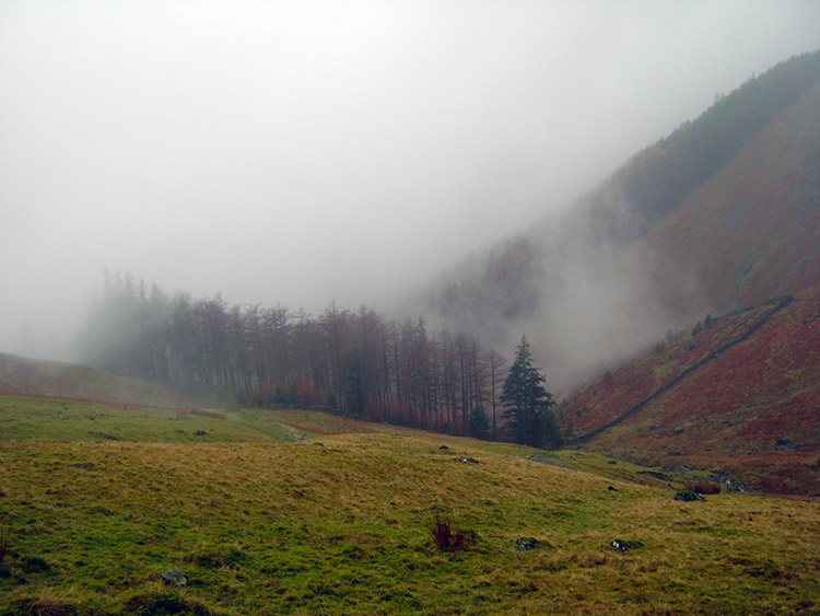 Mist rising from Wythburn Plantation