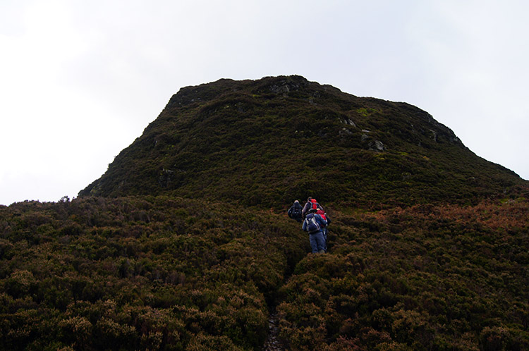 Ascending to White Crag on Mellbreak