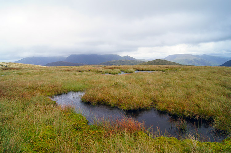 Small pools on White Oak