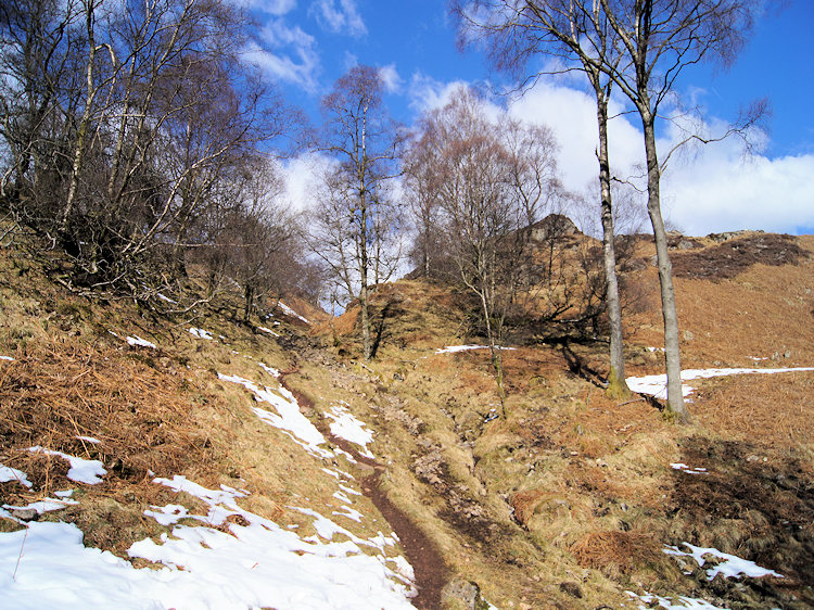 The short sharp climb of Holme Fell