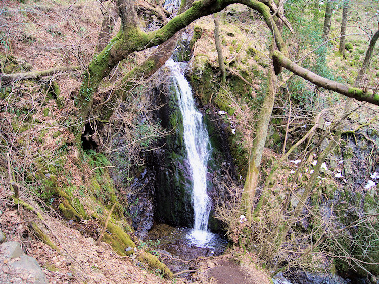 Waterfall in Lane Head Coppice