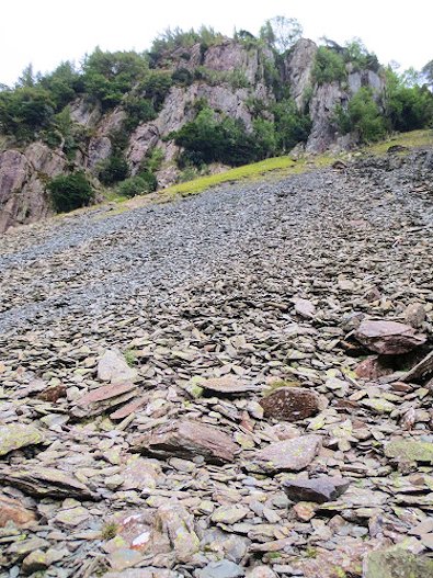 Scree on the slope of Castle Crag