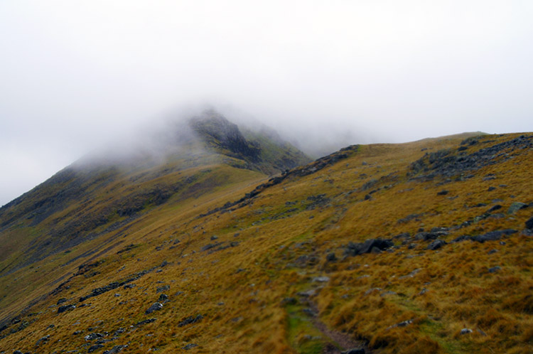 Towards Pillar from Looking Stead