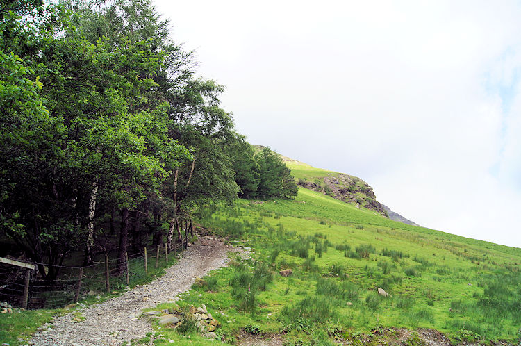 The climb starts to Buttermere Fell