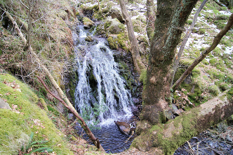 Waterfall in Lane Head Coppice