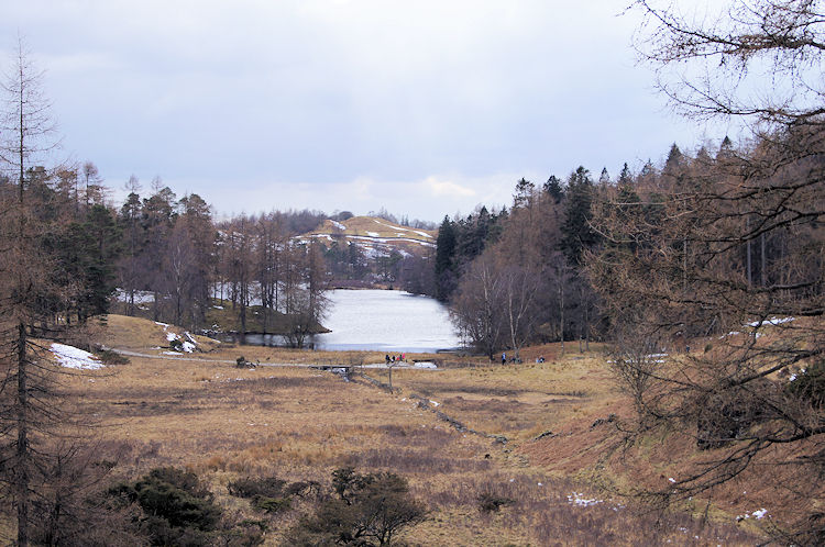View of Tarn Hows from the south