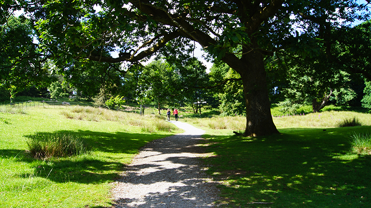 Parkland walk to Wray Castle