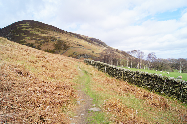 The path back to Scales