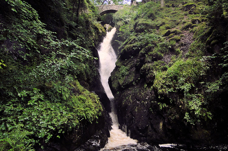 Aira Force