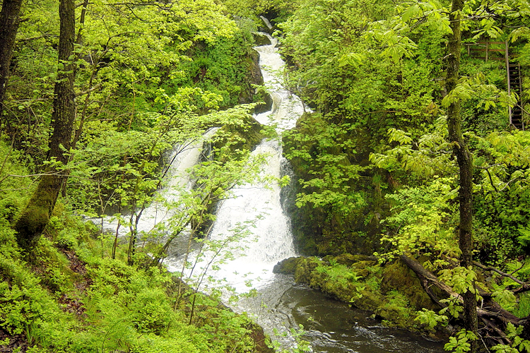 Colwith Force