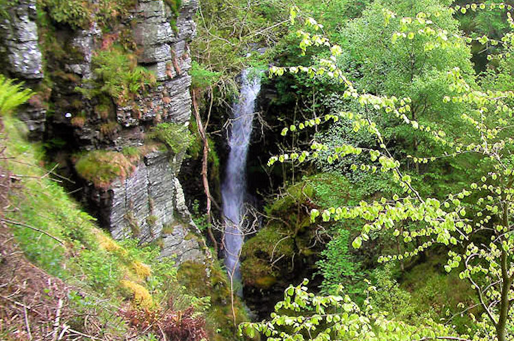 Spout Force