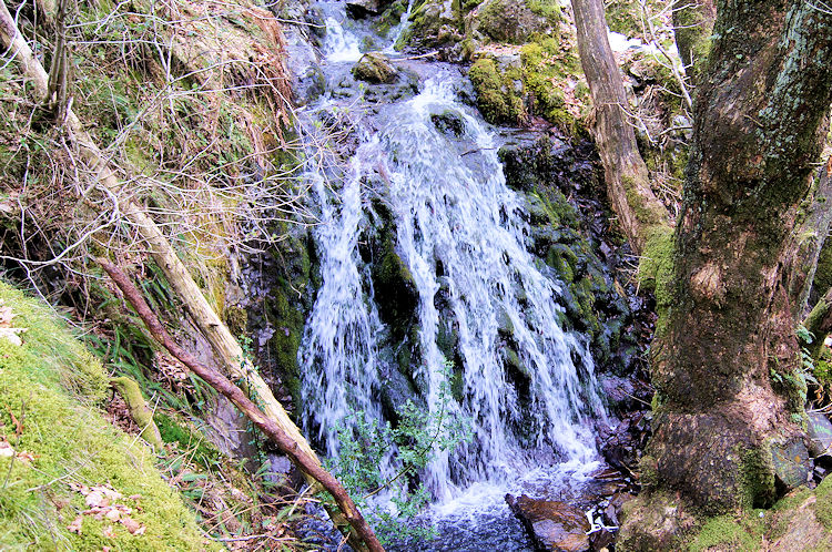 Tom Gill Waterfalls