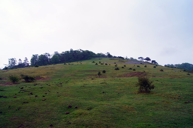 Climbing to Arnside Knott