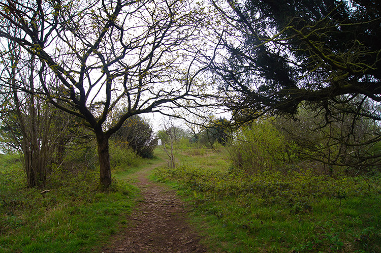 Arnside Knott