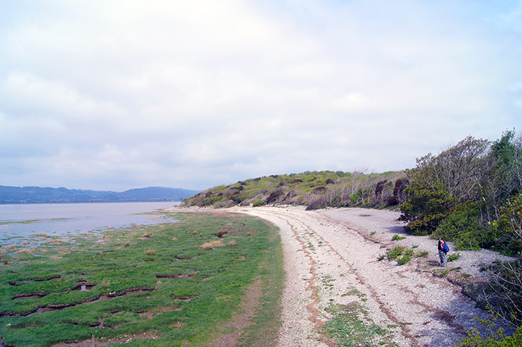 Leighton Moss Nature Reserve