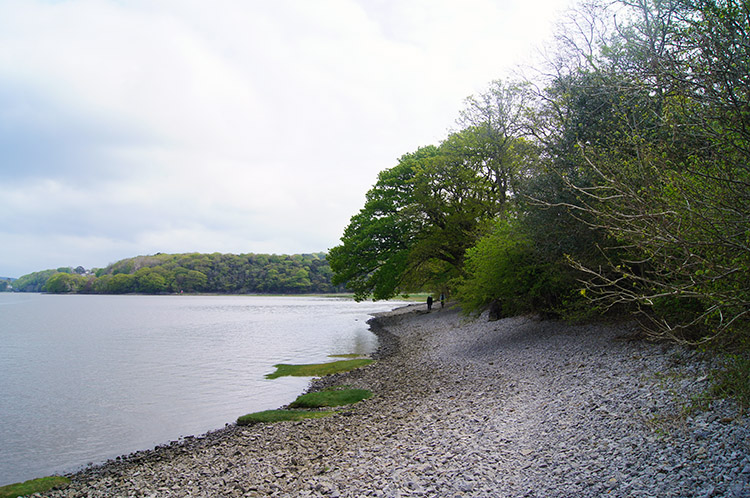 Shingle Beach