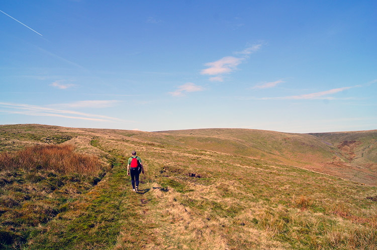 Easy going from Wisket Hill to Dunsop Head