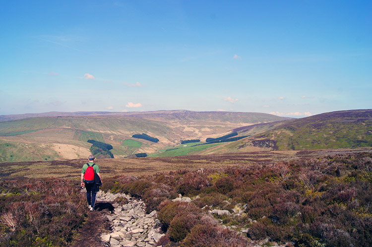 The descent into Whitendale