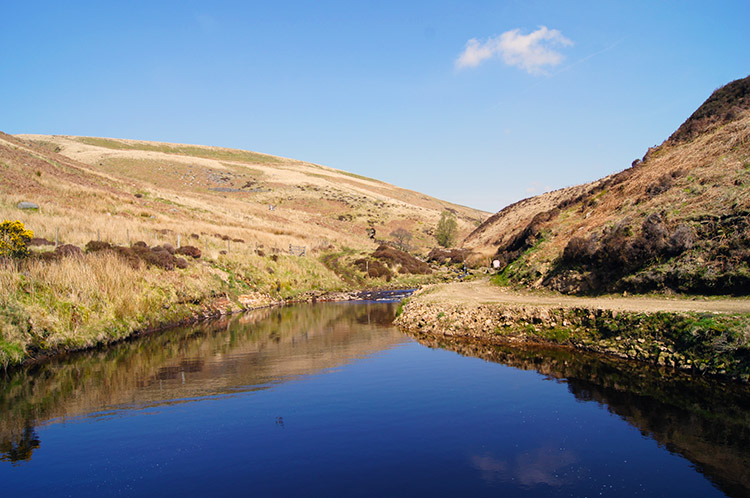 Whitendale Intake