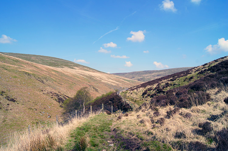 Following the path above Whitendale River