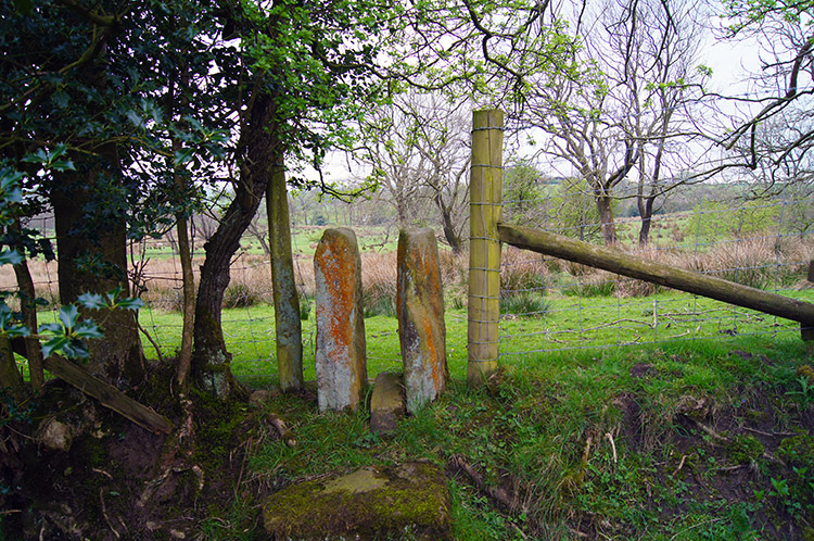 Narrow post between fields near Proctor's Farm