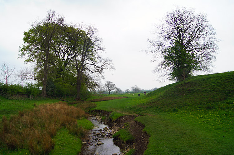 Following Downham Beck