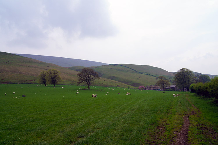 Worston Moor with Pendle Hill beyond