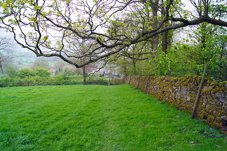 Field leading back into Downham