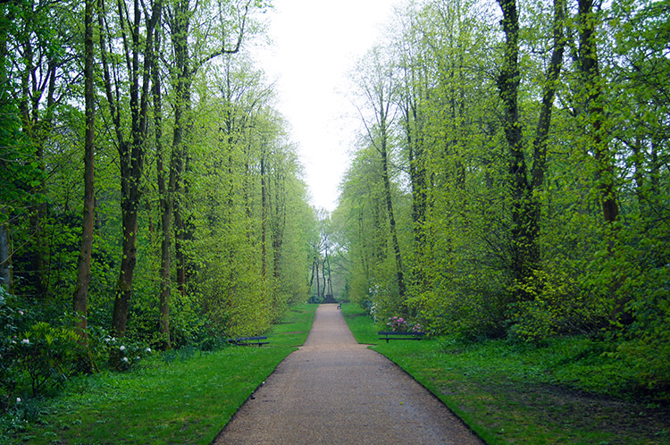 Path leading to Towneley Cross