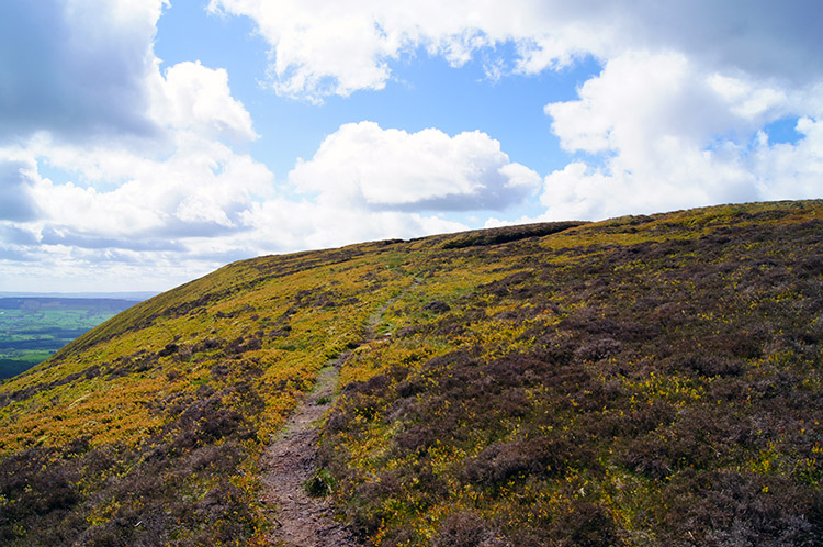 Nearing the summit of Totridge