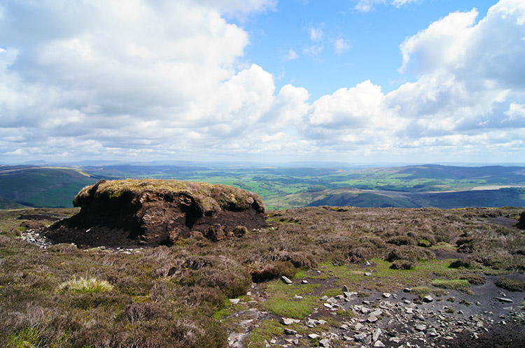 Isolated Peat Hag on Totridge