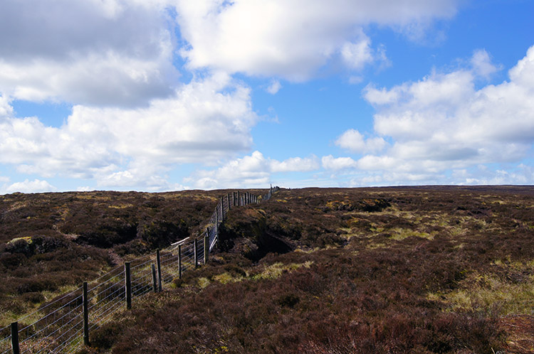 Hareden Fell