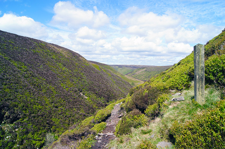 Bleadale Head