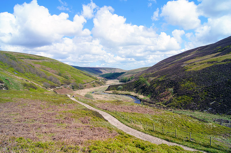 Langden Dale