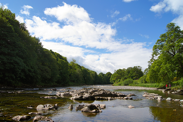 Paddling in the River Lune