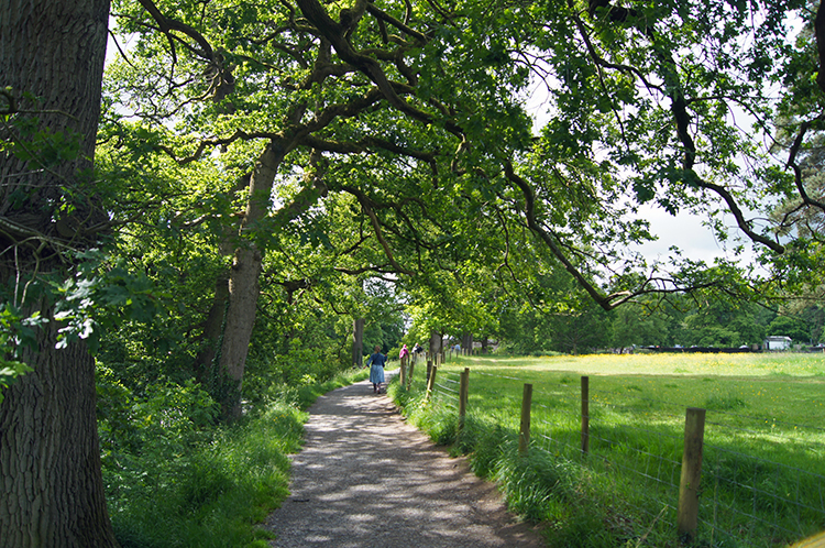 Walking in picturesque surroundings