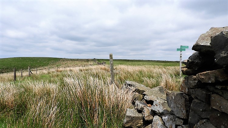 Witton Weavers Way