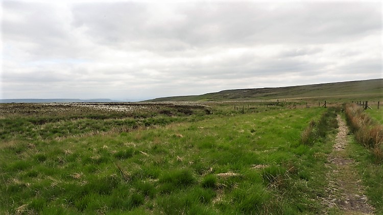 Darwen Moor