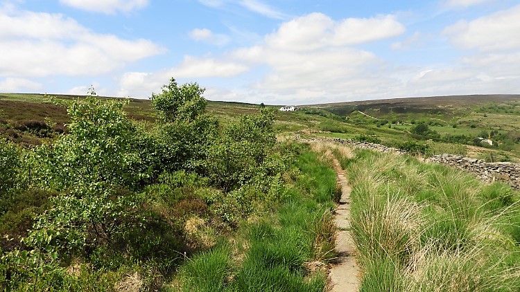 Crossing the moor to Duckshaw Clough