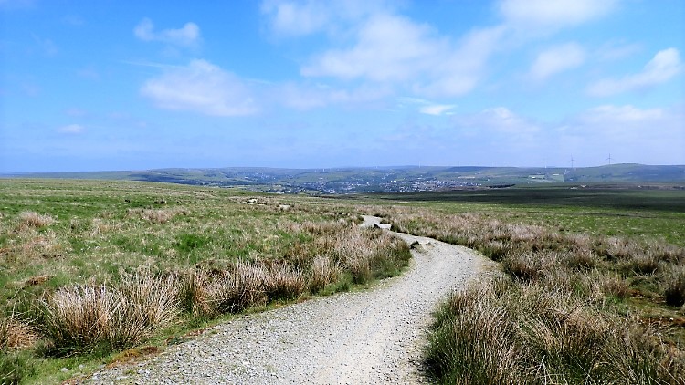 Track across Brandwood Moor